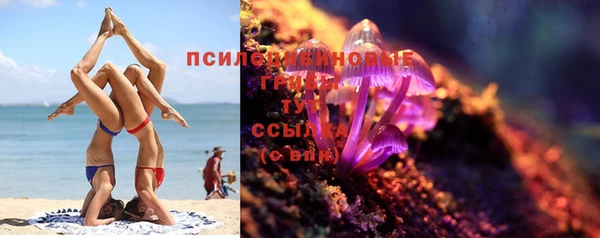 трава Дмитровск