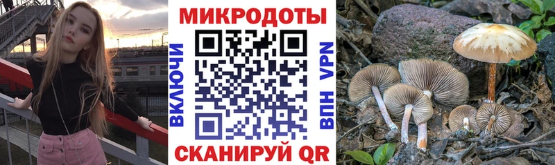 Галлюциногенные грибы MAGIC MUSHROOMS  Звенигород 